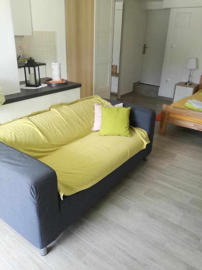 Apartment Dvorska تْسْغيكفانِتْسا المظهر الخارجي الصورة